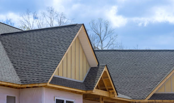 Best Roof Coating and Sealing  in Amherst, VA